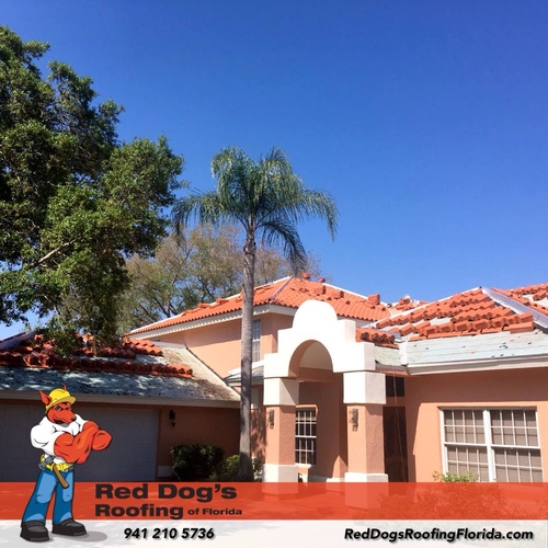 Red Dog's Roofing LLC Roofing Contractors ChamberECT